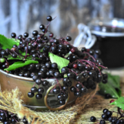 elderberries
