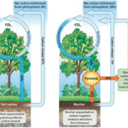 Figure 1 showing biomass pyrolysis