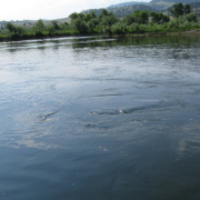 swirling water in landscape