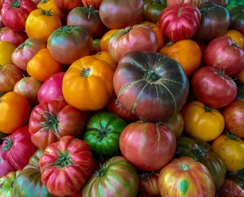 tomatoes